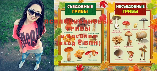стафф Белокуриха