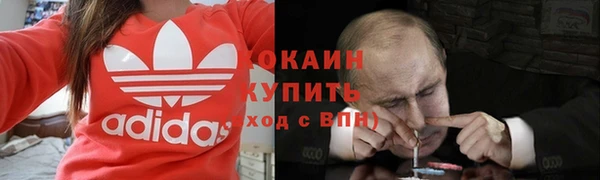 трава Беломорск