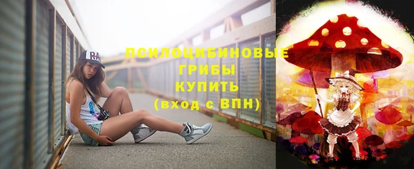 трава Беломорск