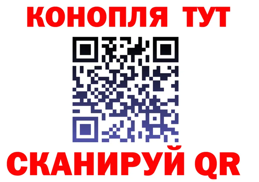 A PVP СК маркетплейс площадка omg Гороховец
